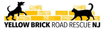 Yellow Brick Road Rescue NJ